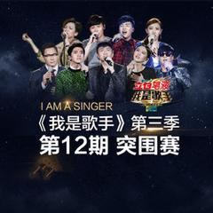 我是歌手第三季全集在线观看,精彩对决，音乐盛宴回顾  第3张