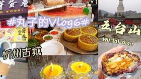 忻州美食爆料视频下载大全,视频大全带你领略地道风味 第2张 忻州美食爆料视频下载大全,视频大全带你领略地道风味 第2张