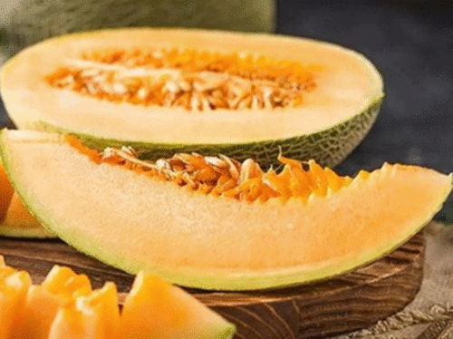 酒泉的瓜州免费吃瓜  第2张
