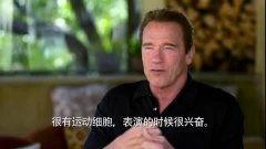 阿诺最新爆料消息视频,揭秘幕后的惊人真相！  第2张