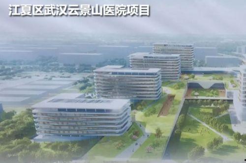 武汉爆料新消息最新,揭秘疫情下的城市动态与挑战 第3张 武汉爆料新消息最新,揭秘疫情下的城市动态与挑战 第3张