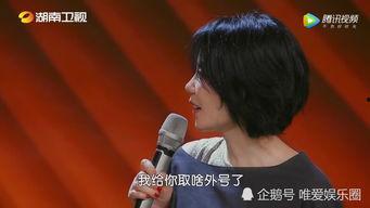 王菲那英赵薇爆料视频,揭秘幕后爆料视频  第3张