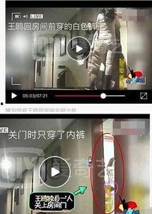 卓伟爆料王鸥视频,王鸥视频事件引发热议 第3张 卓伟爆料王鸥视频,王鸥视频事件引发热议 第3张