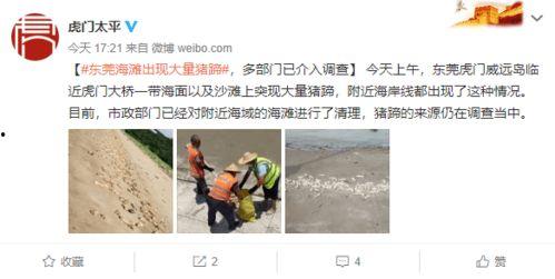现场救人热点爆料视频,紧急救援！现场感人瞬间直击人心  第3张