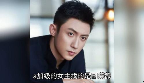 娱乐圈八卦吃瓜爆料小说,揭秘明星背后的秘密与爱恨情仇  第2张
