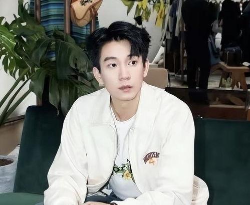 王子奇最新爆料视频播放,幕后真相大公开