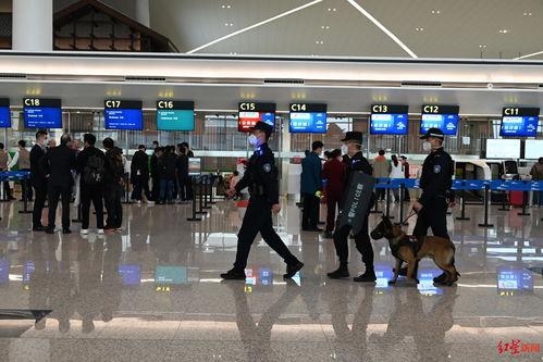 天府机场爆料事件视频,揭秘机场背后真相  第3张