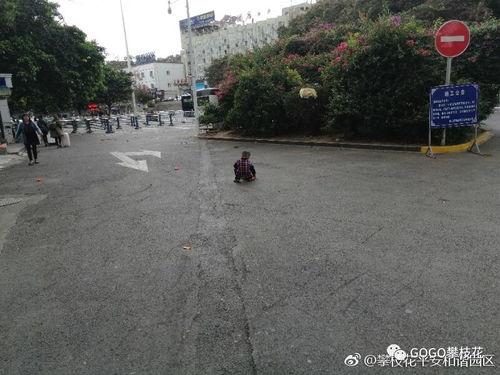 四川攀枝花婴儿最新爆料,真相即将揭晓  第3张