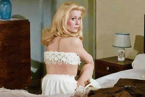 白日美女在线观看  第2张