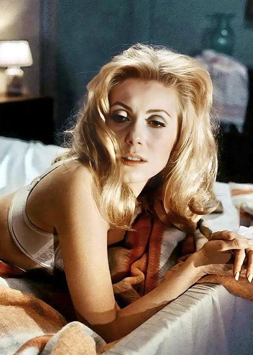 白日美女在线观看  第3张