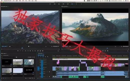 国外摄影师爆料视频大全,震撼视频大全幕后揭秘