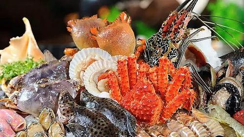 冷冻海鲜视频爆料,视频爆料揭示行业真相  第3张