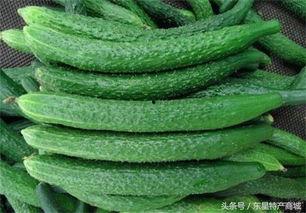 黄瓜农药爆料视频大全最新,最新爆料视频大全深度解析