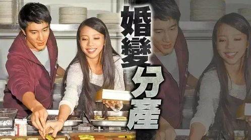 扒叔最新爆料陈法拉,扒叔独家爆料引热议  第3张