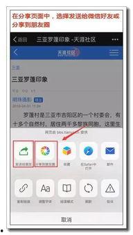 微信爆料怎么操作视频,轻松制作概述文章副标题的实用技巧  第3张